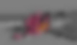 动漫美女污图,视觉冲击与道德争议的交织