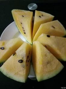 吃瓜论坛有哪些,热门话题与网友热议一览